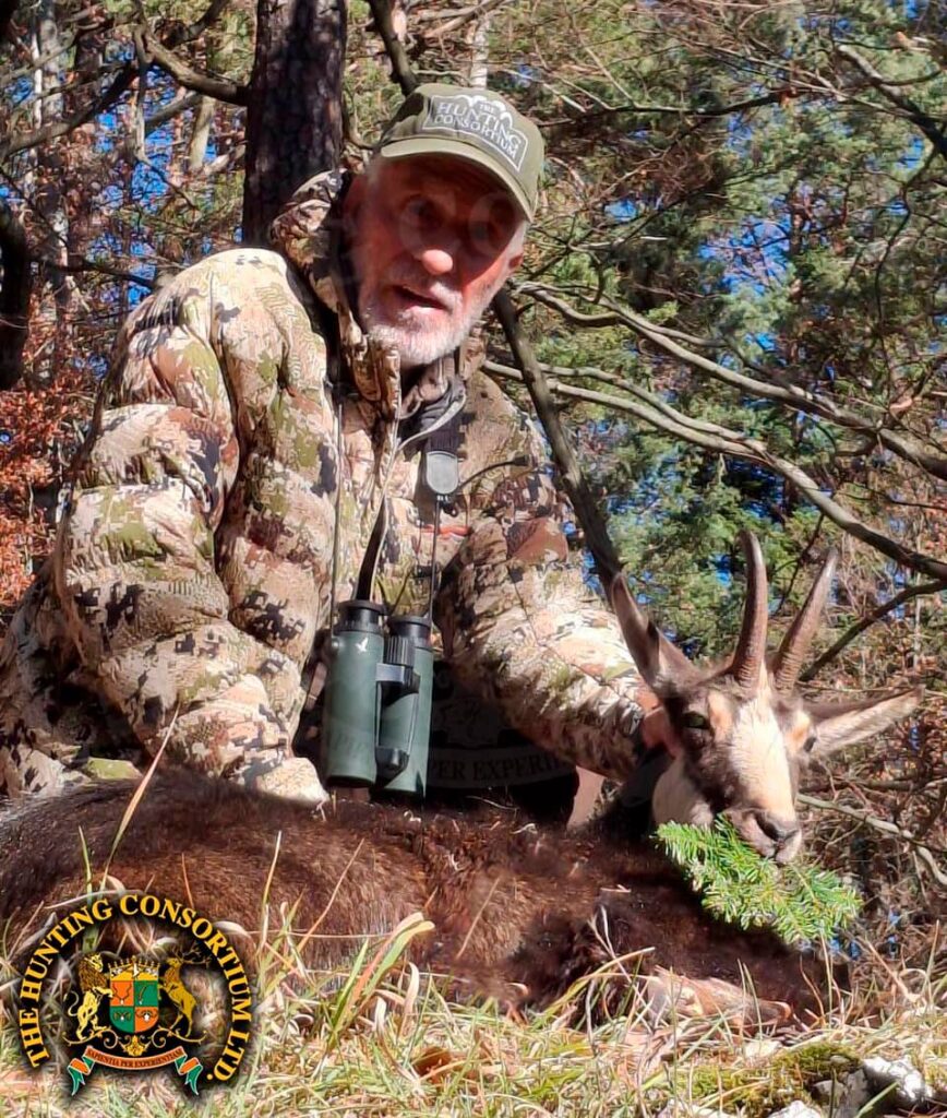 Tatra Chamois hunting in Slovakia