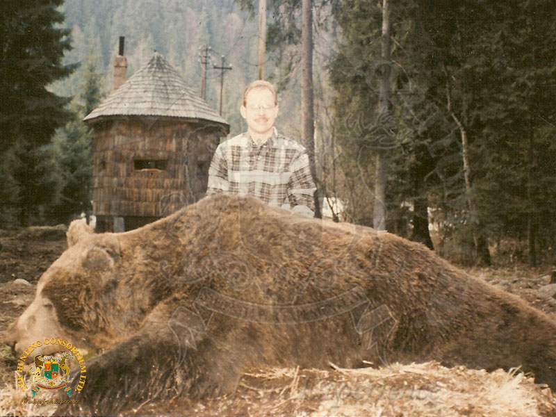 The biggest Romanian brown bear ever hunted. Hunting in Romania. Hunting Bears in Romania.
