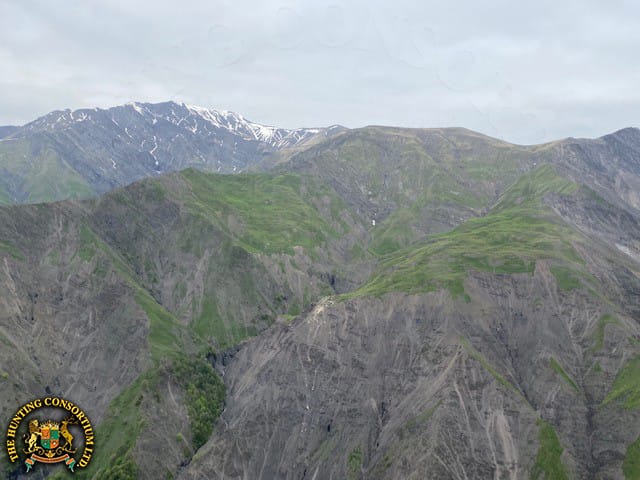 Caucasus Mountains Azerbaijan Tur Hunting in Azerbaijan