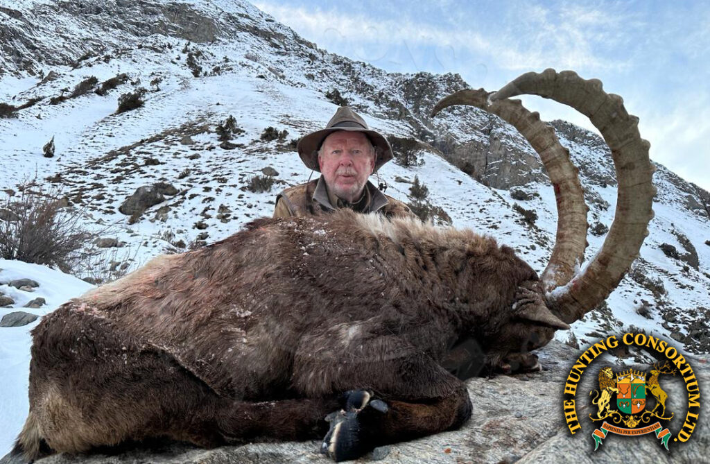 Himalayan Ibex Hunting in Pakistan Himalayan Ibex Hunts Ibex Hunts in Pakistan