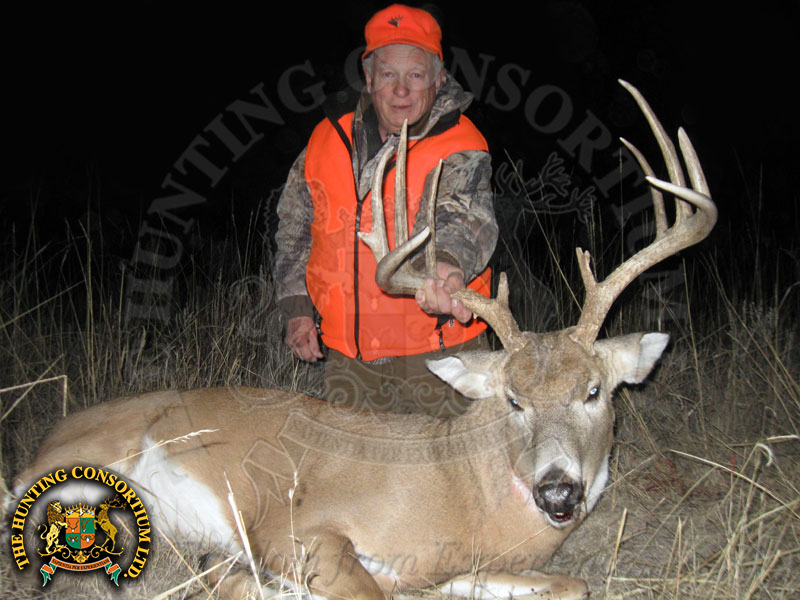 White-tailed Deer hunting in America 2