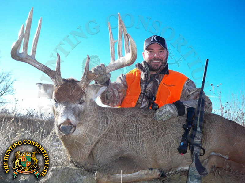 White-tailed Deer hunting in America