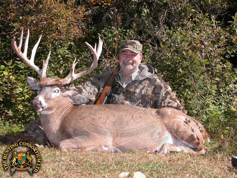 White-tailed Deer hunting in Michigan