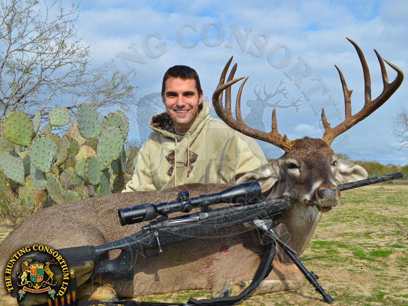 White-tailed Deer hunting in Texas 3