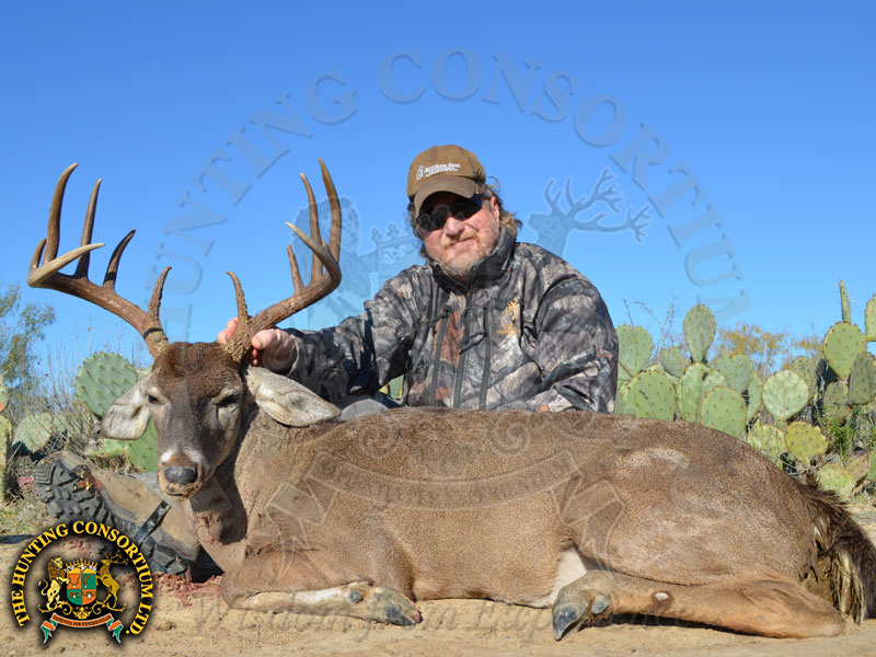 White-tailed Deer hunting in Texas