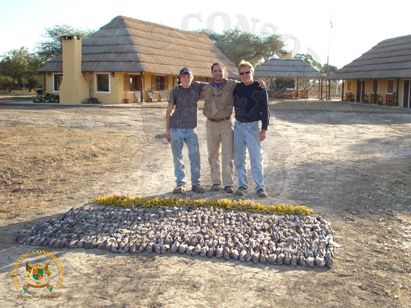 Wingshooting in Argentina. Dove Hunting in Argentina.