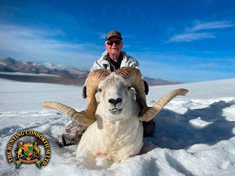 Marco Polo Sheep Hunting in Tajikistan. Hunting in Tajikistan for Marco Polo Argali Hunt