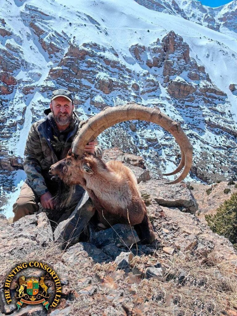 Bezoar Ibex Hunting in Turkey. The Best Bezoar Ibex Hunting in Turkey. Best outfitter for Bezoar Ibex Hunts in Turkey. Best Hunting Outfitter in Turkey.