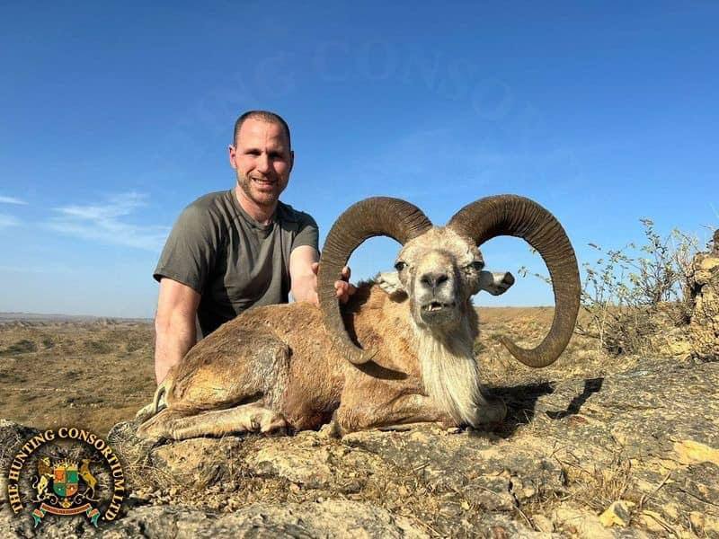 Blanford Urial Hunting in Pakistan