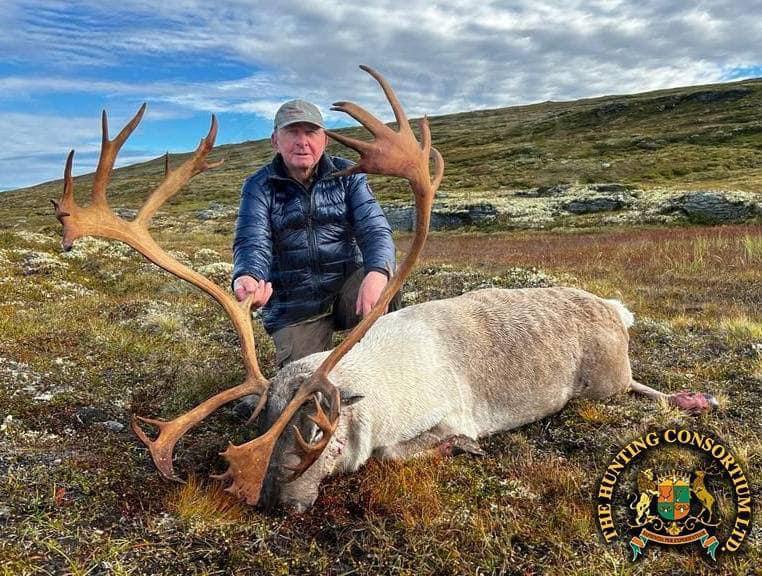 Hunting in Reindeer in Norway Hunting in Norway for Reindeer Hunts in Norway