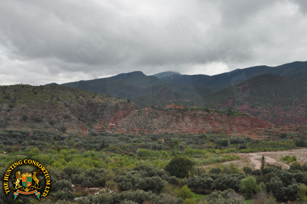 Hunting in Morocco for Aoudad hunting in Morocco Hunts Barbary sheep hunting in Morocco