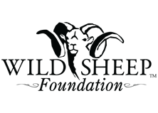 Wild Sheep Foundation Logo