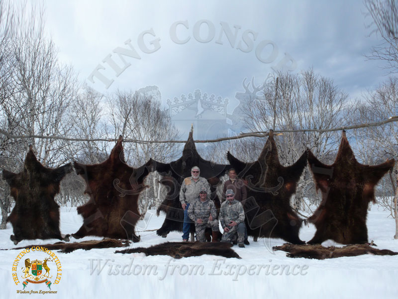Common Grizzly Bear Hunting campsite with furs hanged up to dry