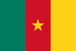 Hunting in Cameroon. Photo of the Cameroon Flag.