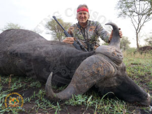 Cape Buffalo10