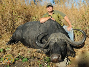 Cape Buffalo11