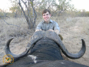 Cape Buffalo12