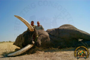 Elephant-hunting-Botswana-6