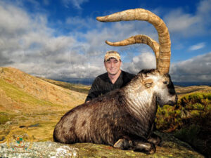 A beautiful landscape picture of a hunter and his Ibex he recently felled in an ibex hunting adventure