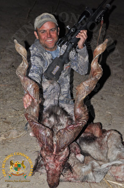 Bukharan Markhor Hunting trophy from Tajikistan. Bukharan Markhor while Hunting in Tajikistan. Best Bukharan markhor hunts.