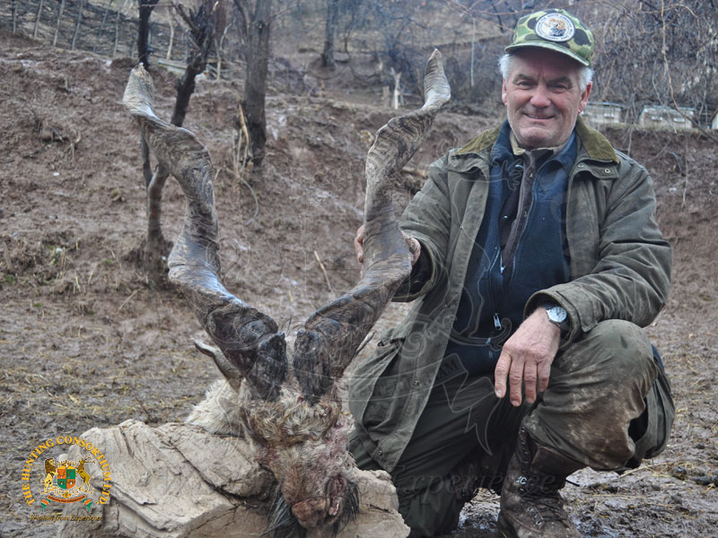 Hunting Markhor in Tajikistan. Bukharan Markhor Hunting in Tajikistan. The best markhor hunting. Ken Barr with his Bukharan Markhor in Tajikistan.