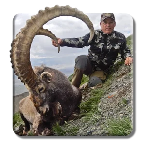 Ibex Tur copy