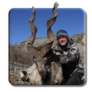 Markhor Home copy