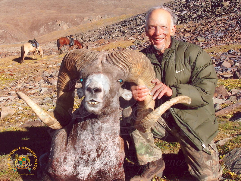 Mongolian Argali15