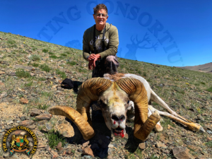Mongolian Argali3