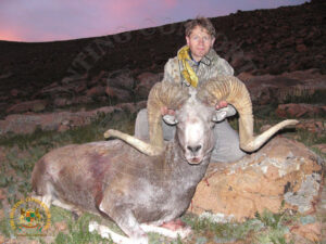 Mongolian Argali4