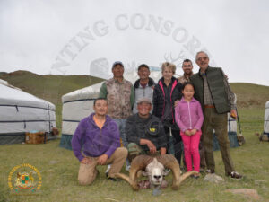 Mongolian Argali8