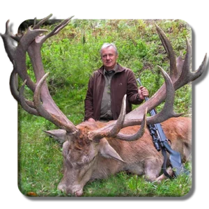 Red Stag copy 1
