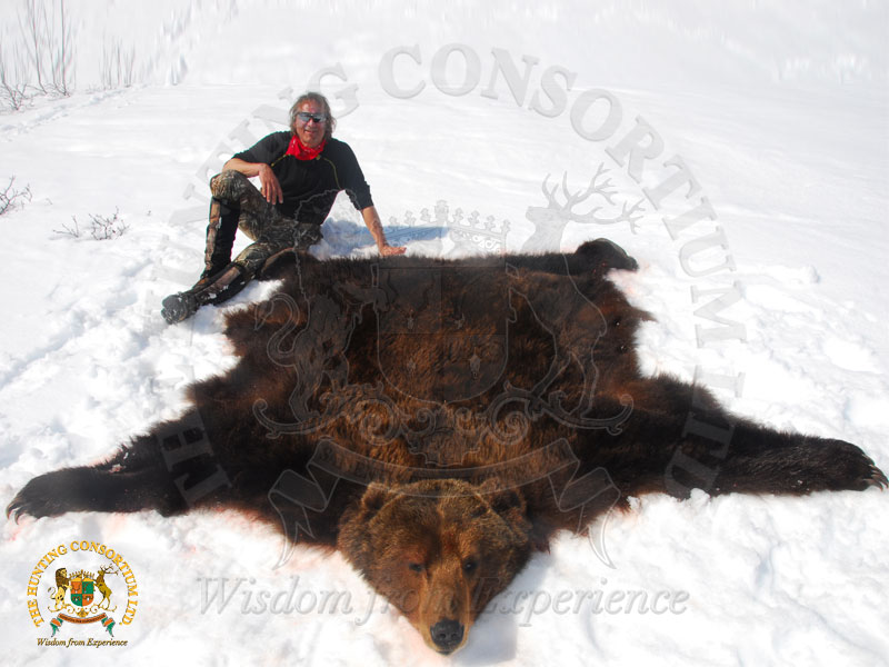 Russian Brown Bear Hunting 1
