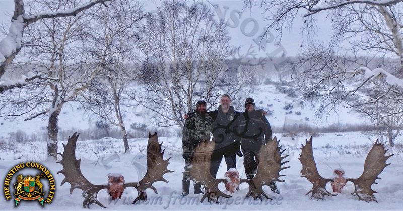 Russian Moose Hunting 2