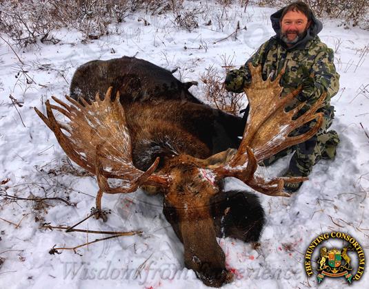 Russian Moose Hunting 4