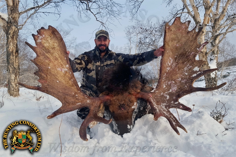 Russian Moose Hunting 7