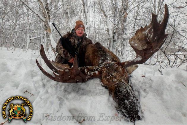 Russian Moose Hunts 2