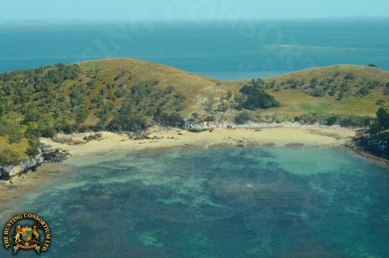 South Pacific Hunting at its Best