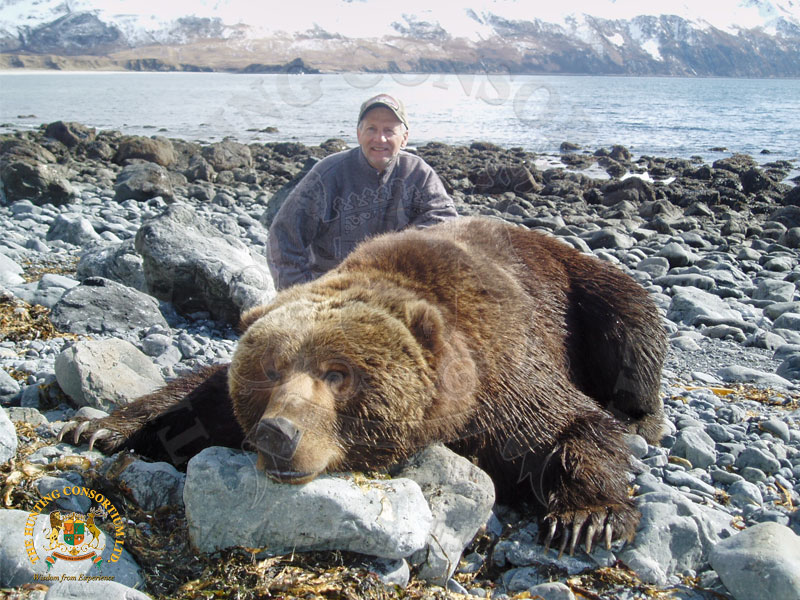 Common Grizzly Bear Hunting near a river bank