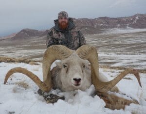 Biggest Marco Polo Sheep Hunting Trophy 68 inch x 67 inch. an exaple of Marco Polo Sheep in Kyrgyzstan and Tajikistan