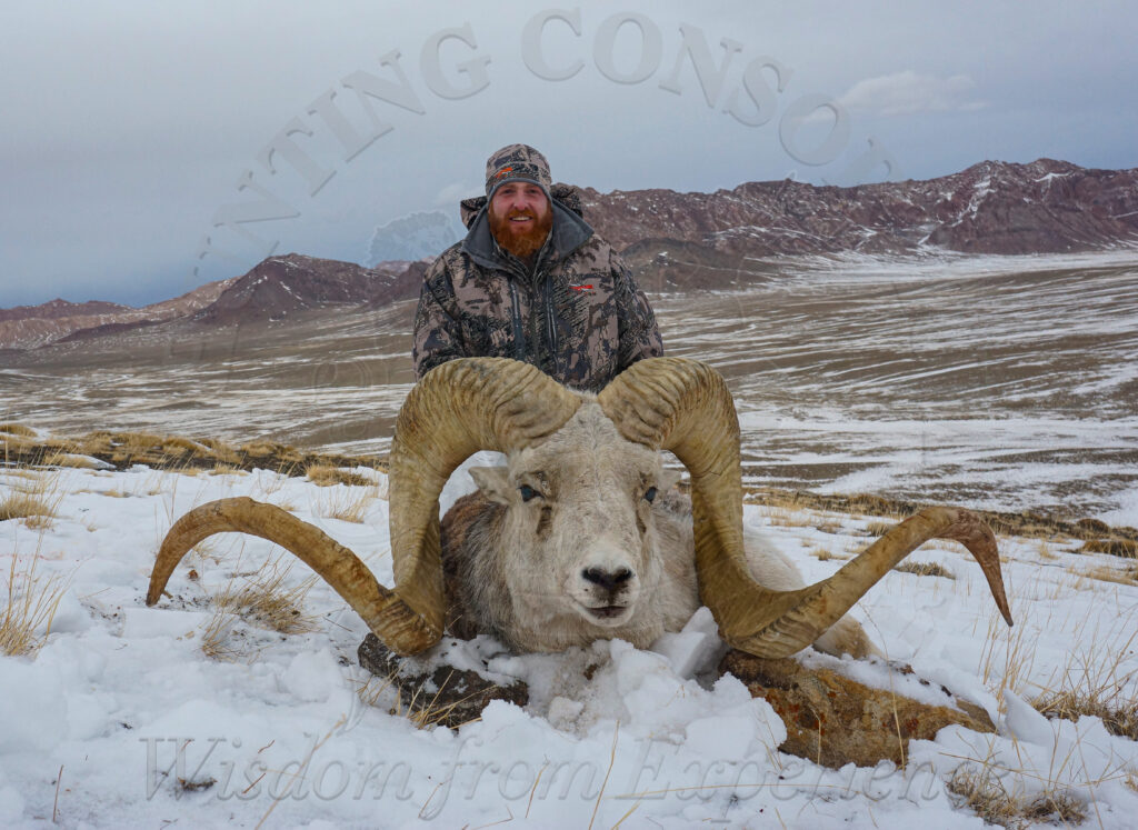 Hunting in Tajikistan. Marco Polo Sheep Hunting in Tajikistan. 68 inch Marco Polo Sheep Hunting Trophy.