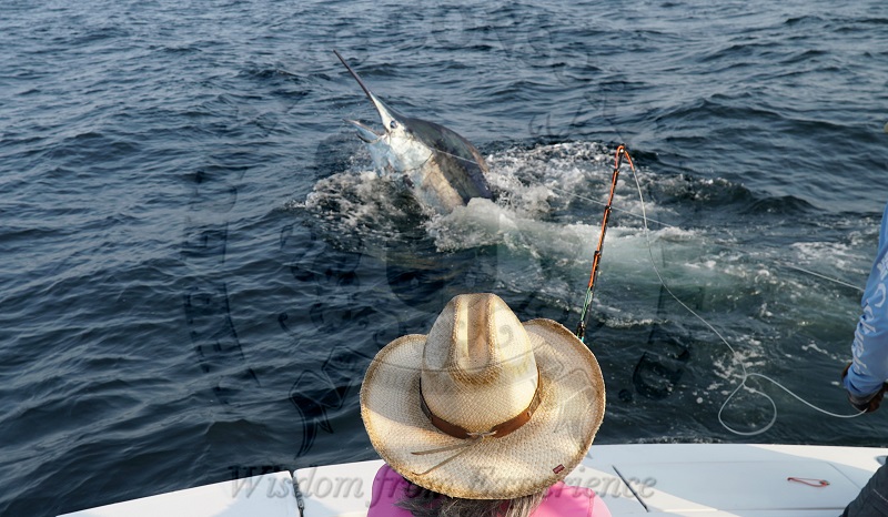 Atlantic Blue Marline Fishing Angola