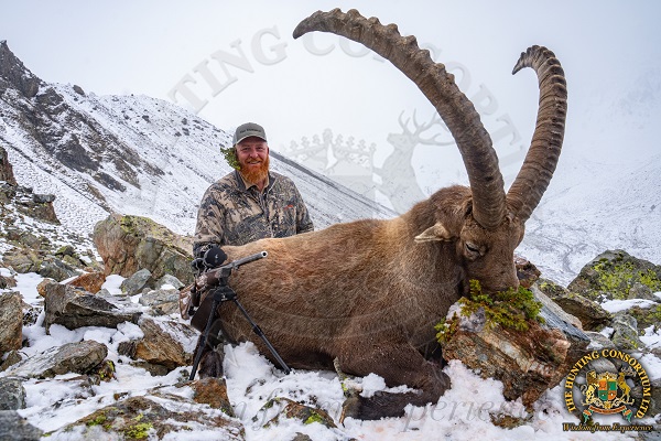 Alpine Ibex Hunting in Austria. Ibex Hunts in Austria.