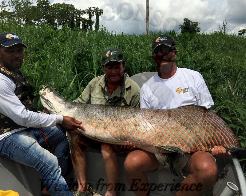 Fishing Peacock Bass Amazon Brazil Rio Roosevelt