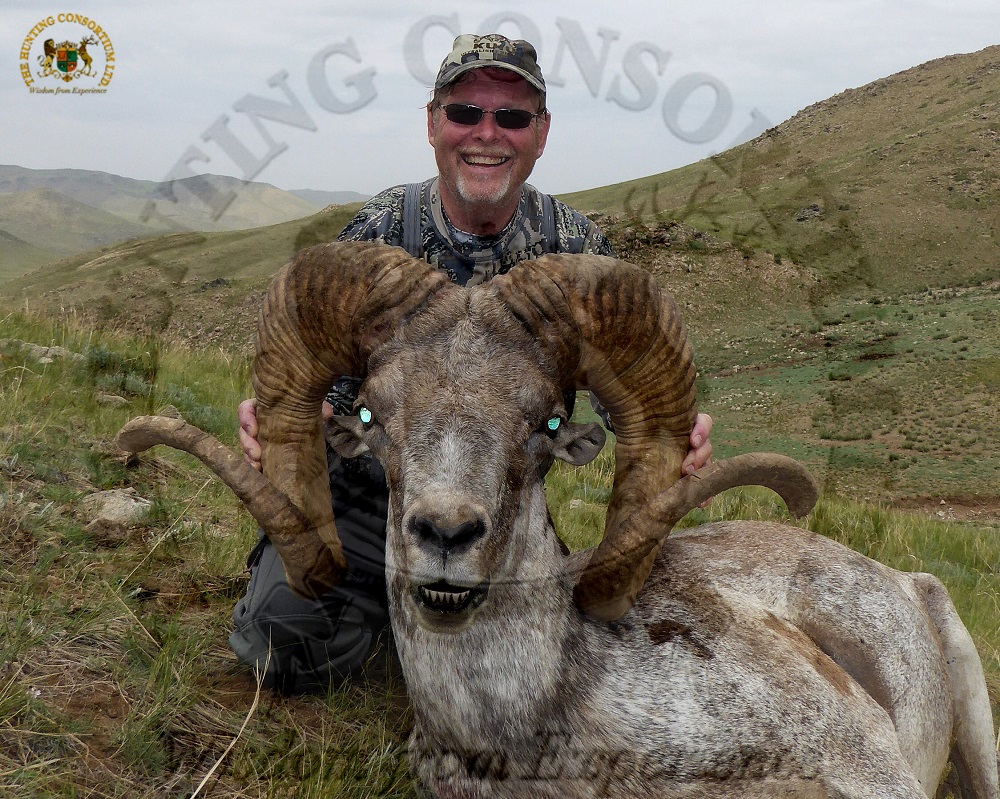 Hangai Argali Hunting Mongolia