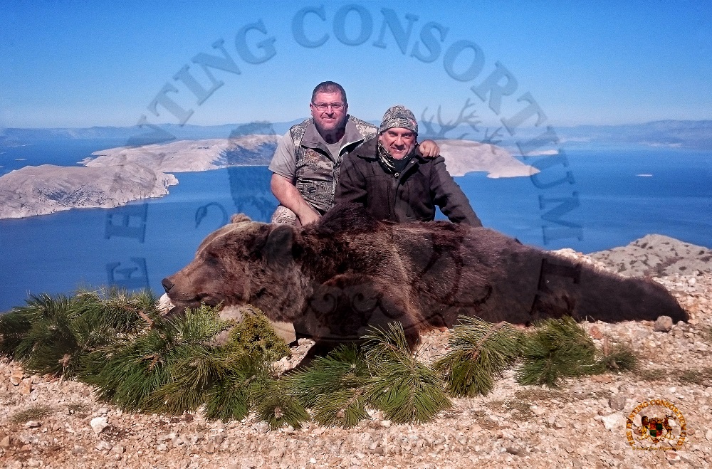 Hunting in Croatia Bear Mouflon Axis Deer Wild Boar Kri Kri Ibex