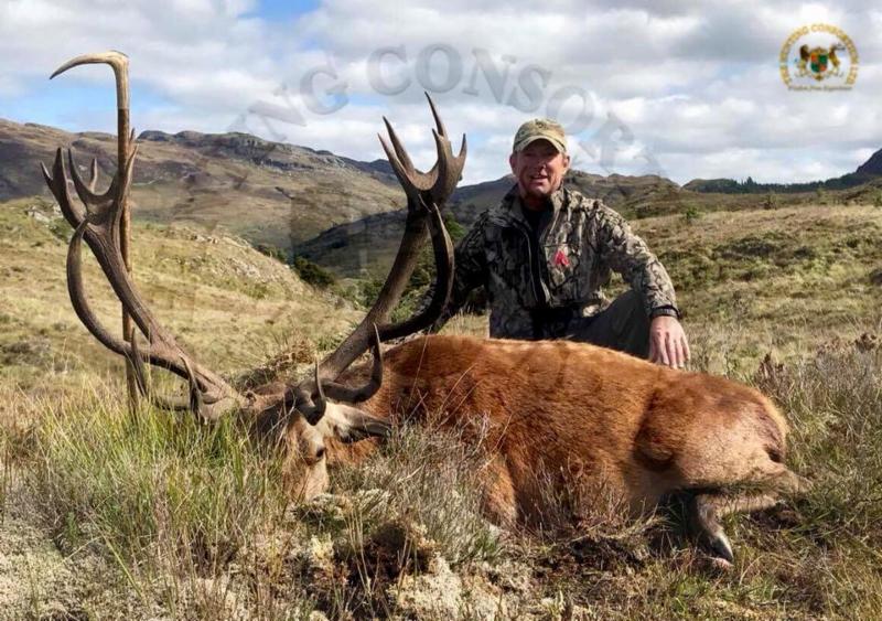 Scotland and Ireland Hunting Red Deer Sika Deer and Roe Deer