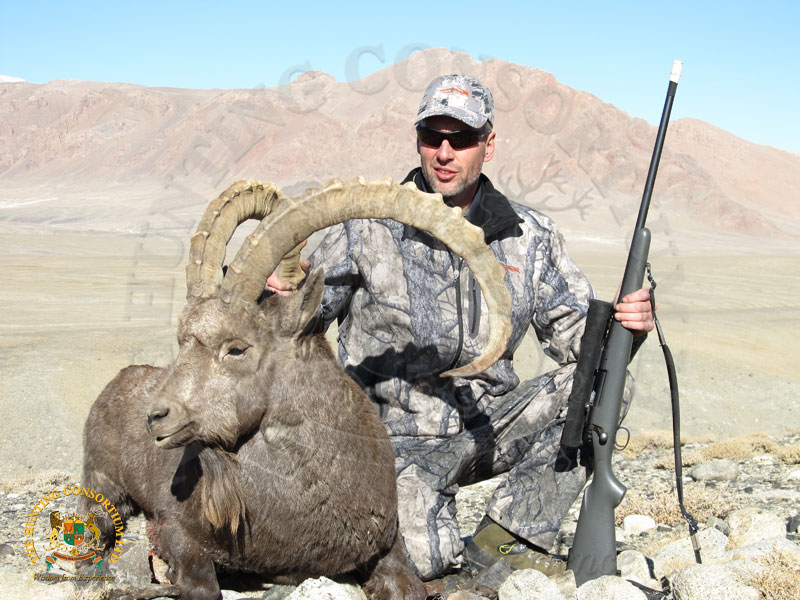Mid Asian Pamir Ibex Hunting in Tajikistan. The best Mid Asian Pamir Ibex Hunting Trips in the World.