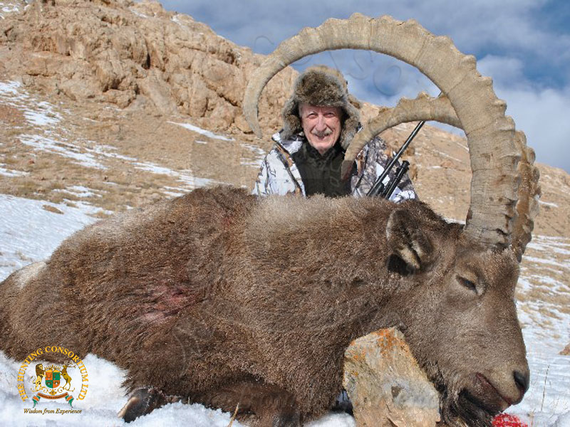 The best Mid Asian Pamir Ibex Hunting in the Tajikistan.