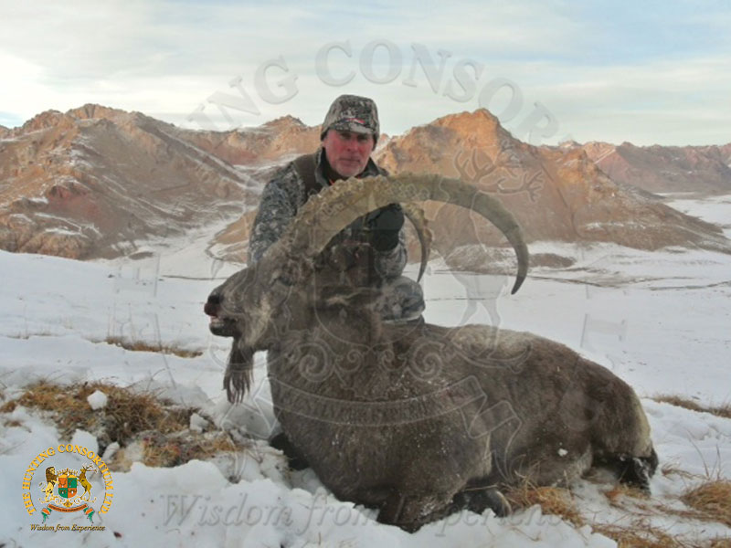 Legendary Mid Asian Pamir Ibex Hunting in the Pamir Mountains of Tajikistan. The Ultimate challenge.